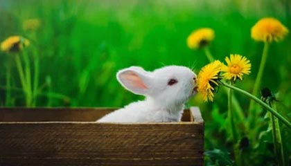 -利物浦横扫皇马，成功晋级欧冠半决赛！，利物浦横扫皇马,成功晋级欧冠半决赛视频